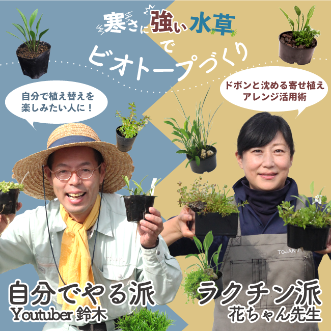 株式会社 杜若園芸｜水草の生産販売【通販ショップ】