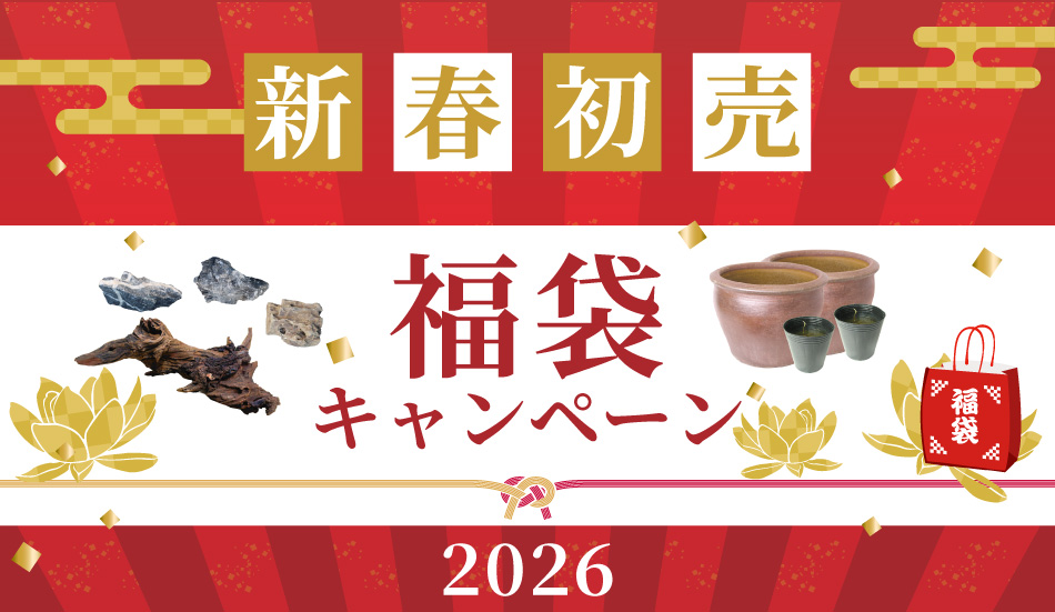 新春初売！福袋キャンペーン