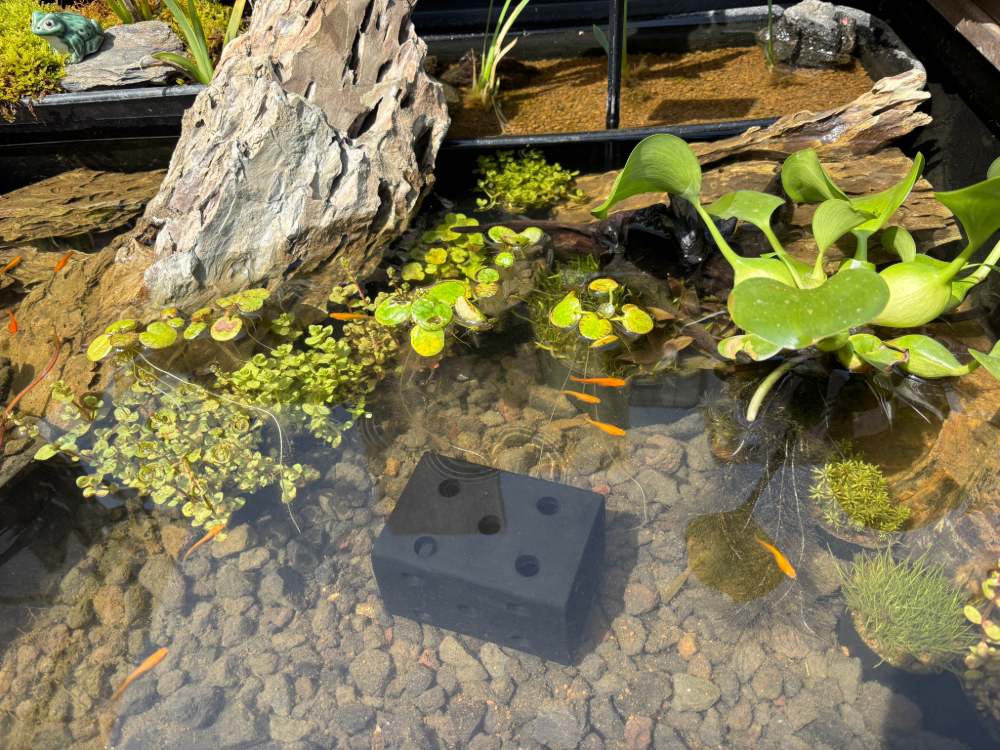 炭できれい】メダカの隠れ家 スクエア小 | 杜若園芸WEBショップ|水草 炭できれい】メダカの隠れ家 スクエア小 | 杜若園芸WEBショップ|水草