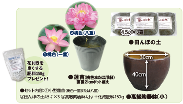 セット内容