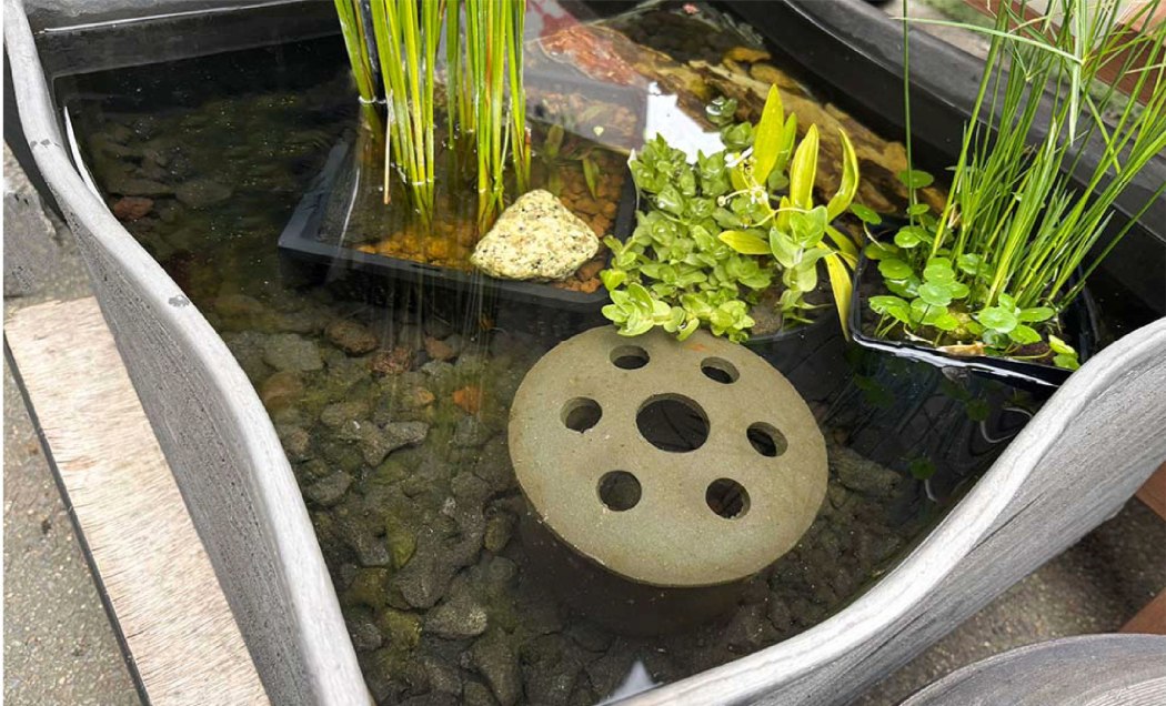 メダカの隠れ場所におすすめ！】メダカの隠れ家 | 杜若園芸WEBショップ