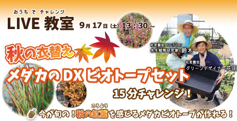 株式会社 杜若園芸 水草の生産販売 通販ショップ
