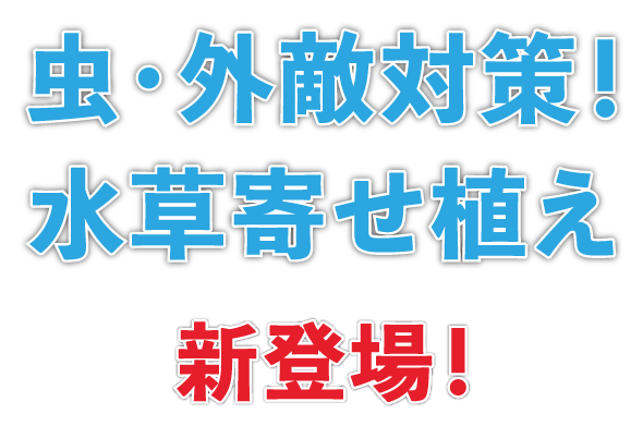 虫・外敵対策!水草寄せ植え新登場!