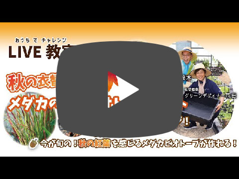 秋の衣替え メダカのDXビオトープセット | 杜若園芸WEBショップ｜水草