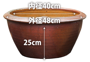 穴なしスイレン陶器鉢 丸型（L）