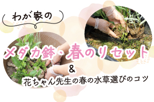 春のリセット