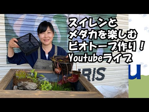 花田先生のスイレンとメダカを楽しむ ビオトープ作り！