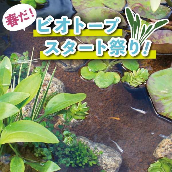 2025_biotopestart_banner.jpg