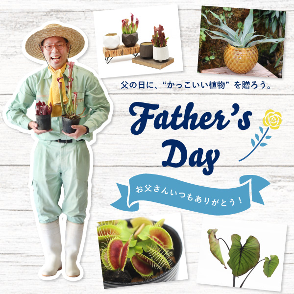 2025fathersday_banner.jpg