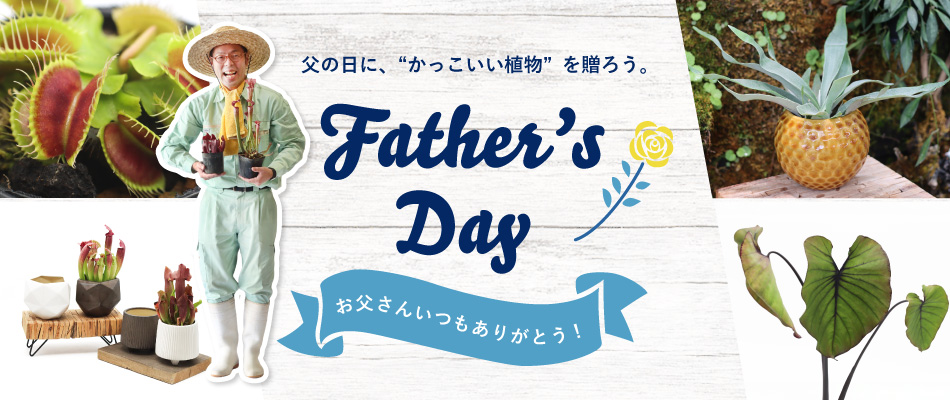 父の日に、“かっこいい植物”を贈ろう。Father'sDayお父さんいつもありがとう！