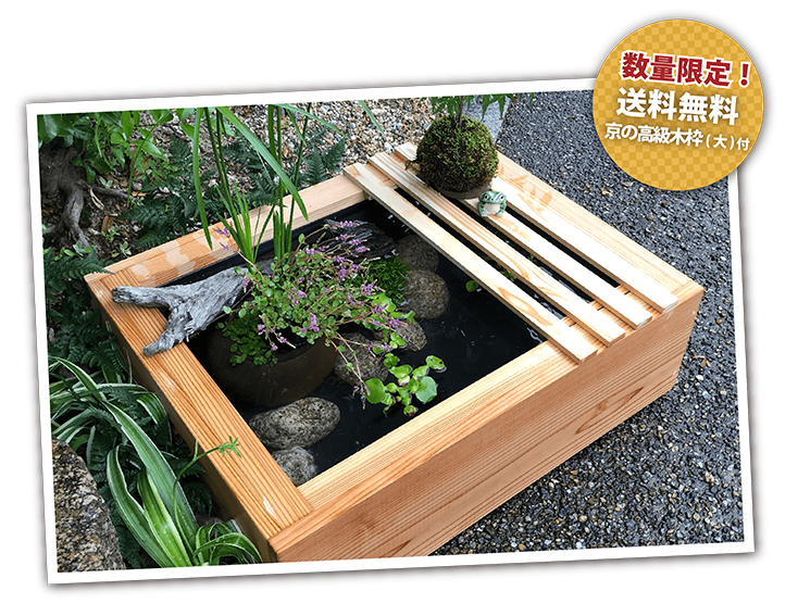 京の高級木枠(大)付きビオトープセット