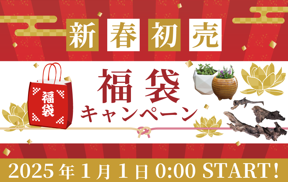 新春初売!福袋キャンペーン
