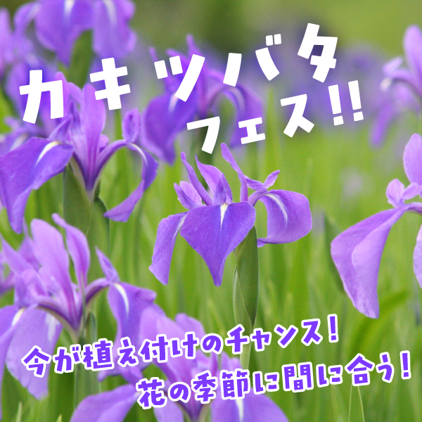 2025kakitsu_banner.jpg