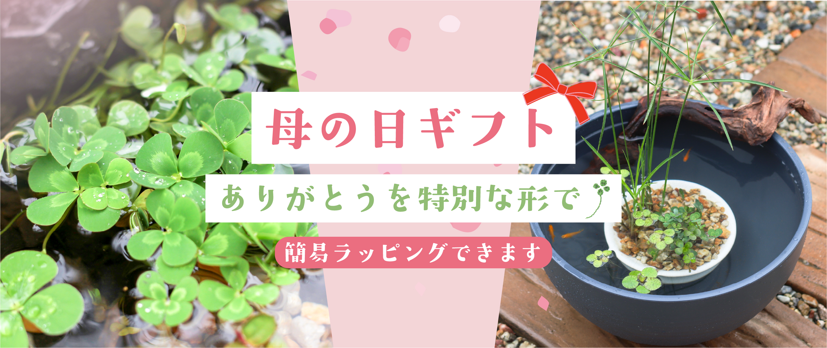 母の日ギフトありがとうを特別な形で簡易ラッピングできます