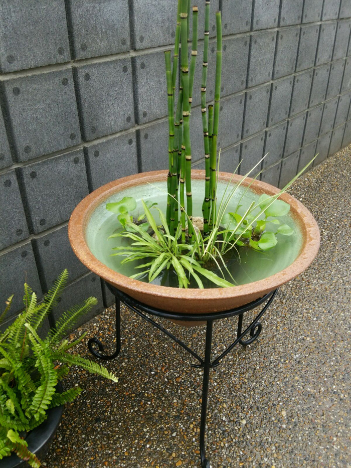 水鉢 ソリ型 大 幅広アイアンスタンドＬ付き | 杜若園芸WEBショップ 