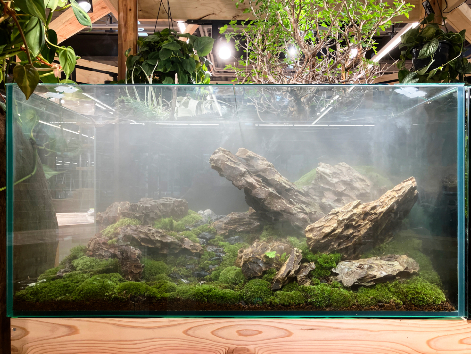 1点物 気孔石アート◆オブジェ アクアリウム　苔リウム　水槽用レイアウト　化石 1点物 気孔石 アート アクアリウム 水槽 レイアウト 龍 竜