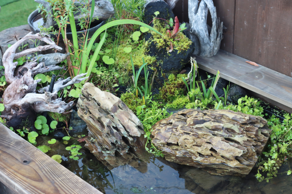 気孔石-8 | 杜若園芸WEBショップ｜水草の生産販売【通販ショップ】