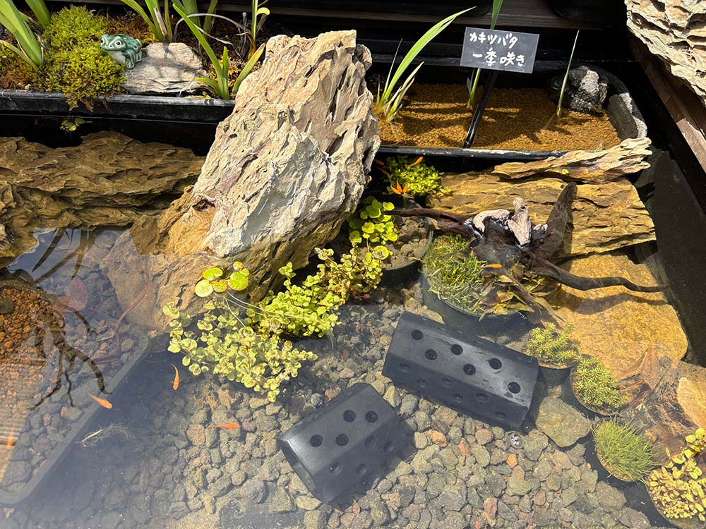 炭できれい】メダカの隠れ家 ハニカム大 | 杜若園芸WEBショップ｜水草