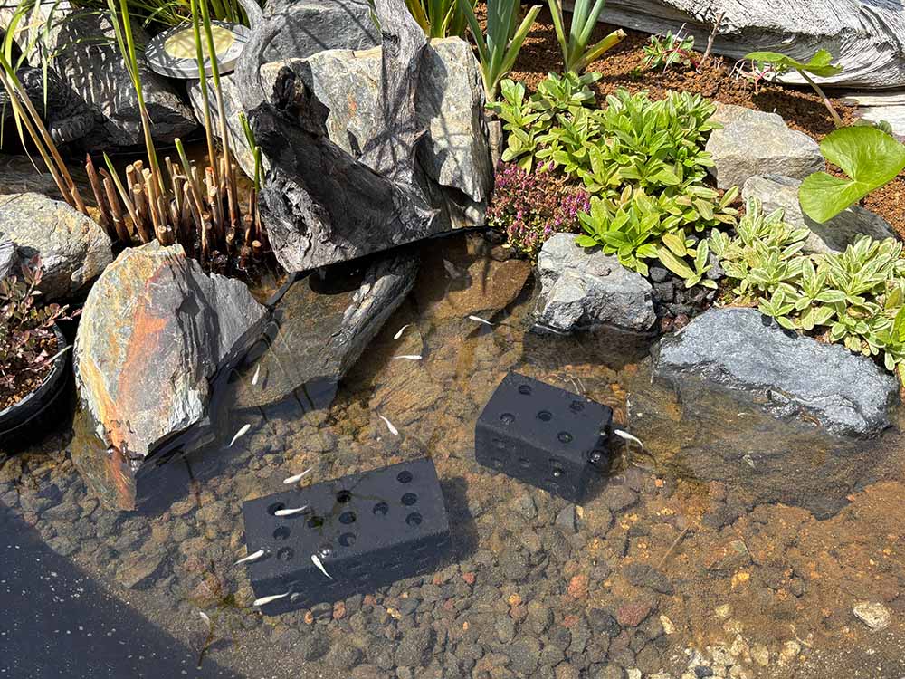 炭できれい】メダカの隠れ家 スクエア小 | 杜若園芸WEBショップ｜水草