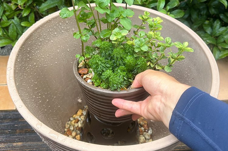 寄せ植えを設置