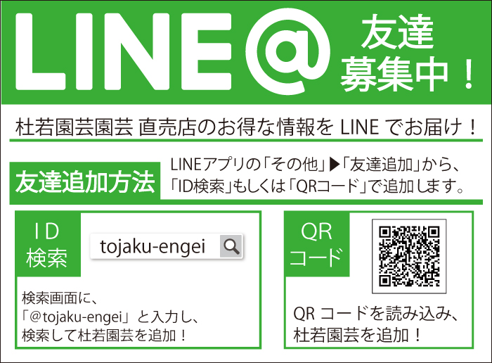 LINE@に登録しよう！