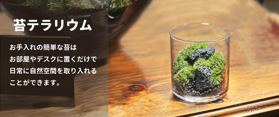 苔テラリウムバナー