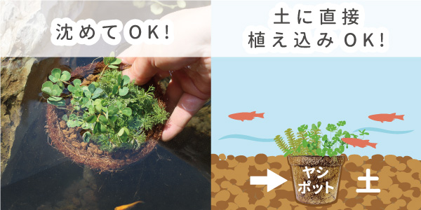 設置方法
