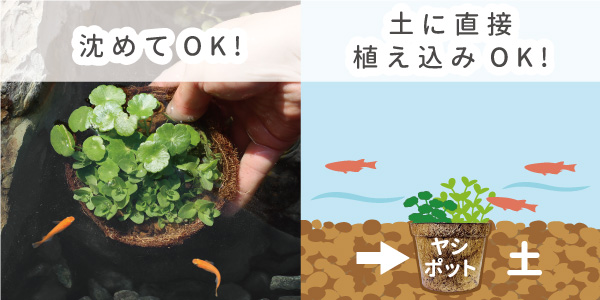 設置方法