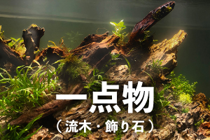 一点物(流木・飾り石)
