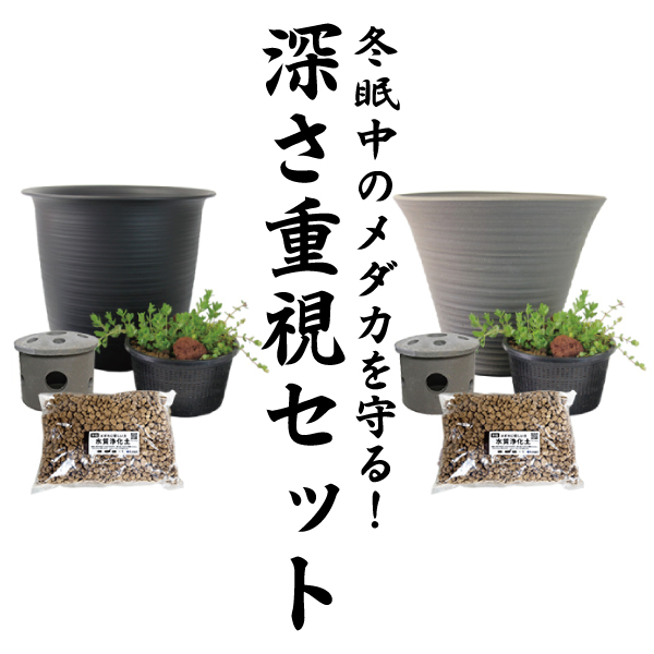 株式会社 杜若園芸｜水草の生産販売【通販ショップ】