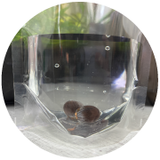 はすたね発芽用袋