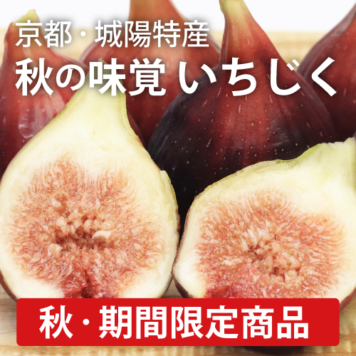 杜若園芸オリジナル商品バナー_いちじく.png