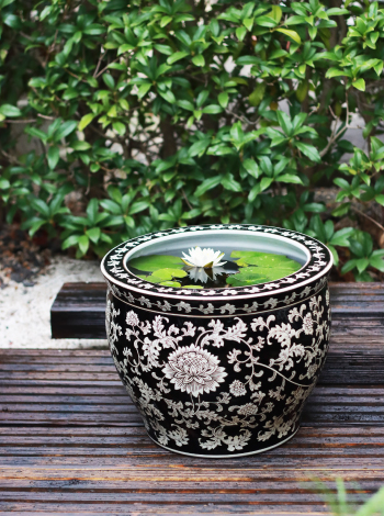水鉢KAREN ブラック | 杜若園芸WEBショップ｜水草の生産販売【通販