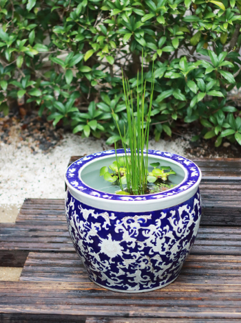 水鉢KAREN ブラック | 杜若園芸WEBショップ｜水草の生産販売【通販