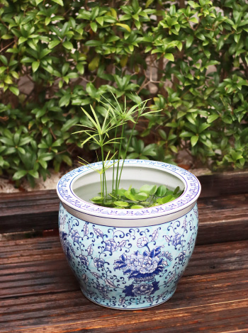 水鉢KAREN ブラック | 杜若園芸WEBショップ｜水草の生産販売【通販