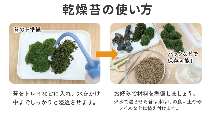 コケの使い方