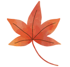 赤紅葉アイコン