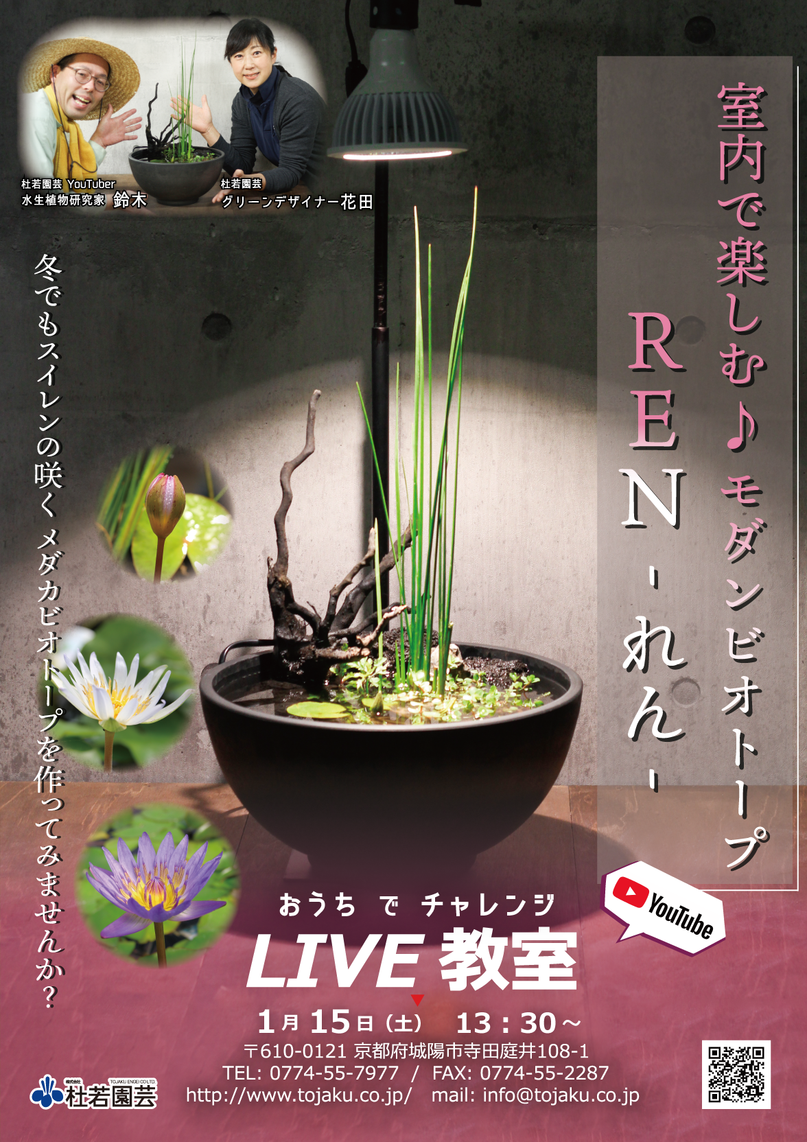 Youtubeライブ教室 室内で楽しむ モダンビオトープ Ren れん 株式会社 杜若園芸 水草の生産販売 通販ショップ Youtubeライブ教室 室内で楽しむ モダンビオトープ Ren れん 株式会社 杜若園芸 水草の生産販売 通販ショップ