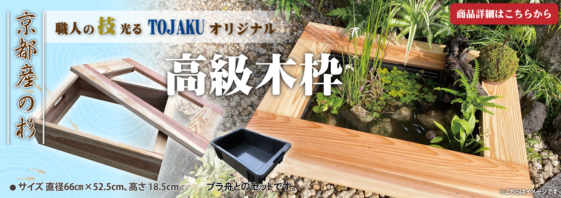 株式会社 杜若園芸 水草の生産販売 通販ショップ 株式会社 杜若園芸 水草の生産販売 通販ショップ