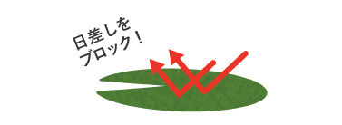 右上の日差しをブロック！画像