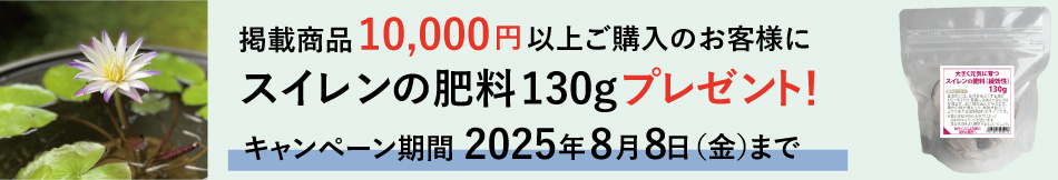 オファー条件