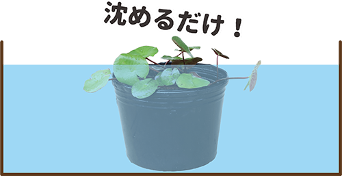 沈める図