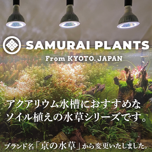 SAMURAI PLANTS