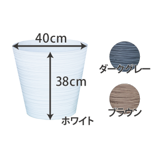 HASUBACHI 40