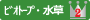 ビオトープ・水草２位