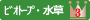 ビオトープ・水草３位