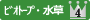 ビオトープ・水草４位