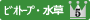 ビオトープ・水草５位