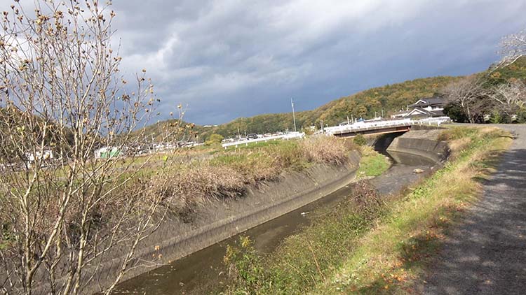 川の風景