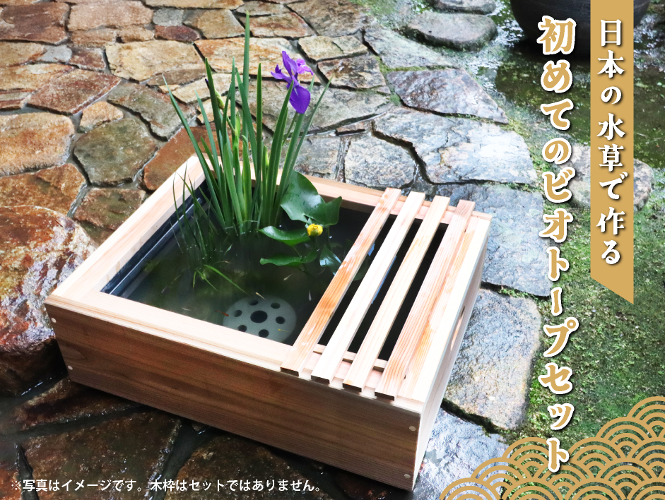 日本の水草でつくる 初めてのビオトープセット